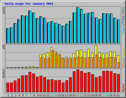 Daily usage for January 2024