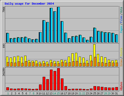 Daily usage for December 2024