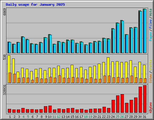 Daily usage for January 2025