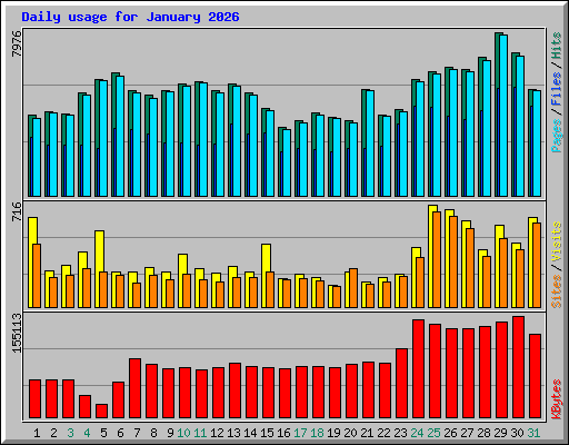 Daily usage for January 2026