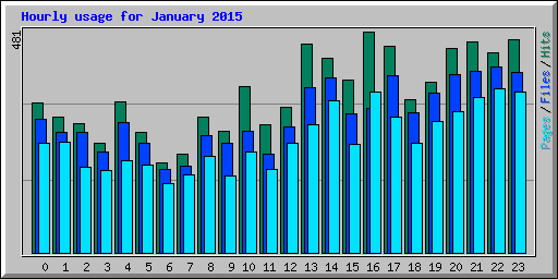 Hourly usage for January 2015