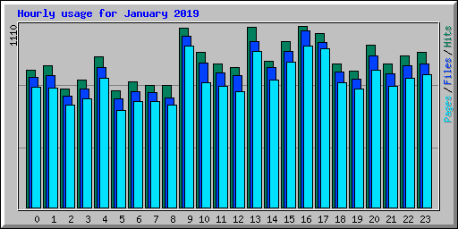 Hourly usage for January 2019