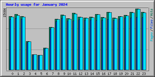 Hourly usage for January 2024