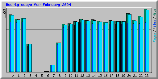 Hourly usage for February 2024