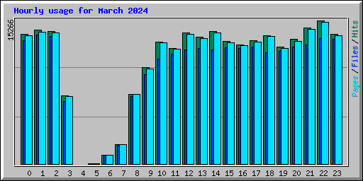 Hourly usage for March 2024