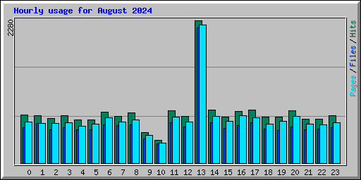 Hourly usage for August 2024