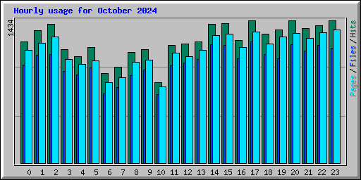 Hourly usage for October 2024