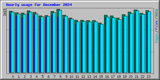 Hourly usage for December 2024