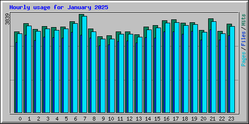 Hourly usage for January 2025