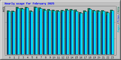 Hourly usage for February 2025