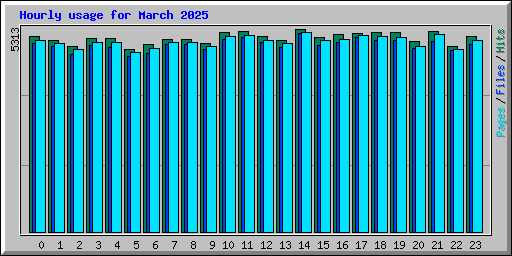Hourly usage for March 2025