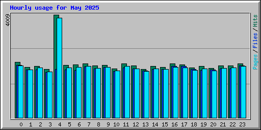 Hourly usage for May 2025