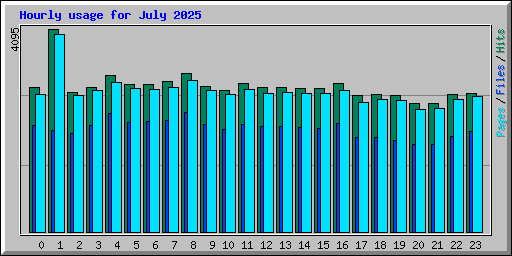 Hourly usage for July 2025