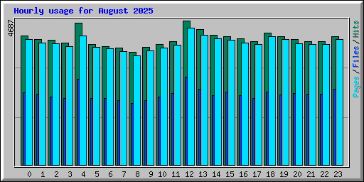 Hourly usage for August 2025
