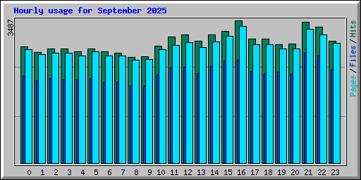 Hourly usage for September 2025