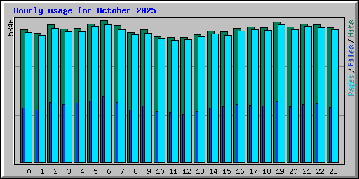 Hourly usage for October 2025