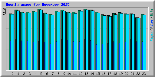 Hourly usage for November 2025