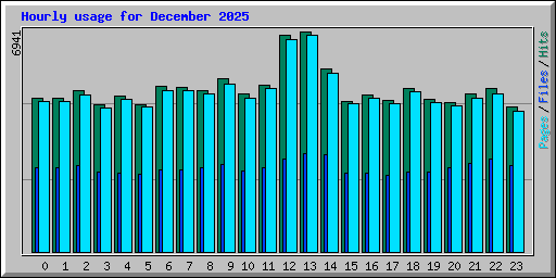 Hourly usage for December 2025