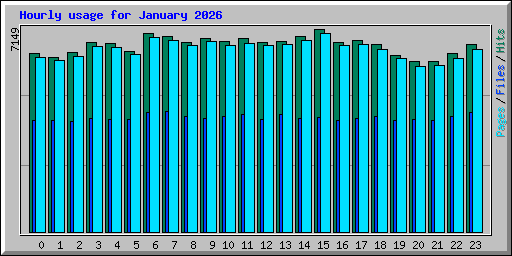 Hourly usage for January 2026
