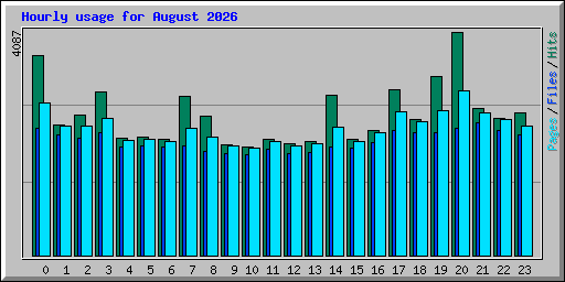 Hourly usage for August 2026